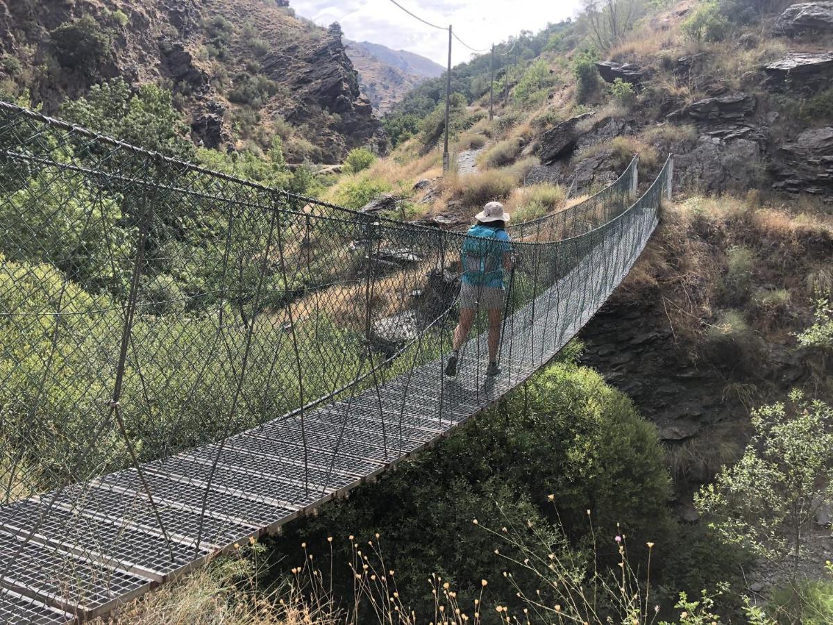 Suite Ladero Alto Sierra Nevada Guejar Sierra Ngoại thất bức ảnh